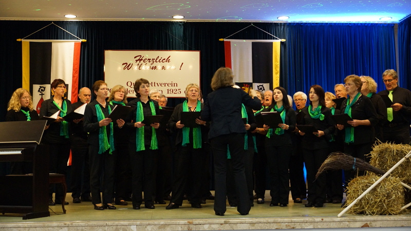 Herbstkonzert_2013_Bild11_Oberkostenz