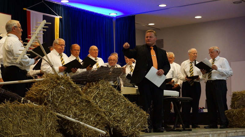 Herbstkonzert_2013_Bild6_Sarmsheim